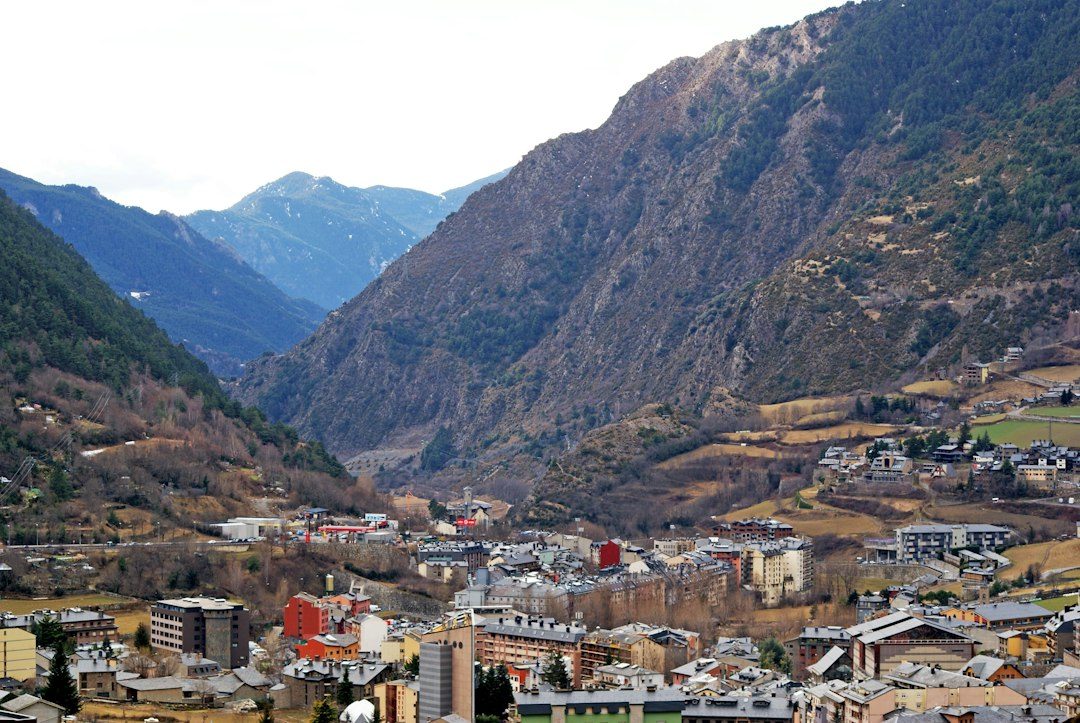 oportunitats de negoci turístic - Aparcand